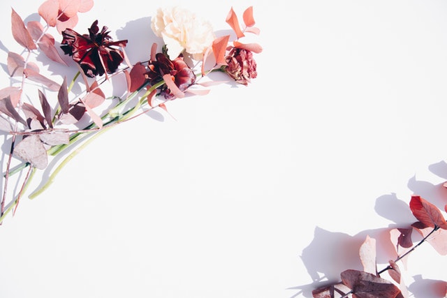 写在 Petal3 之前